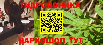 прущие грибы Мариинск