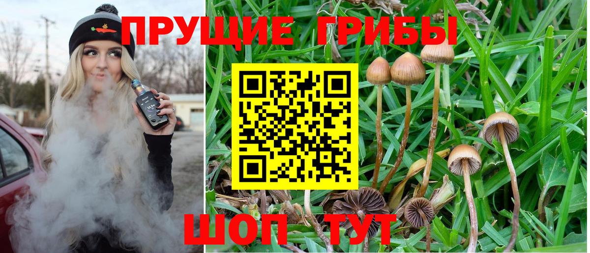 наркошоп  Галлюциногенные грибы прущие грибы  Вход с VPN  Зеленокумск 